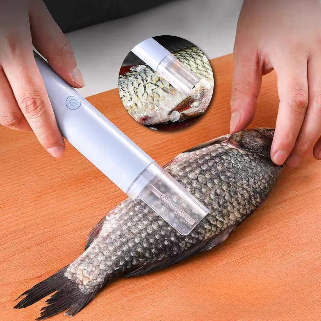 Removedor Eléctrico de Escamas  Pescado