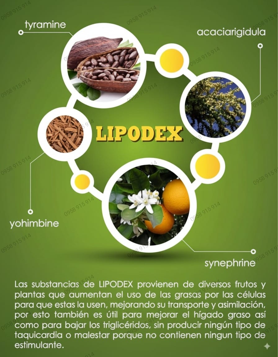 SUPLEMENTO LIPODEX